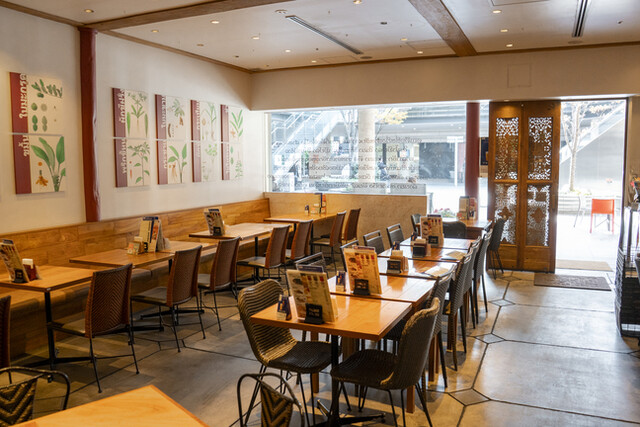 高級 サイアムセラドン ホームパーティー食器 26点 サイアムセラドン 御茶ノ水ソラシティ店 （SIAM CELADON）のご予約