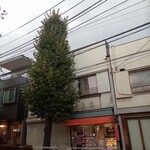 鳥昌 - 外観　店前のイチョウの樹がデカくてびっくりw