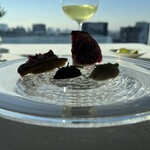 シグネチャー - 