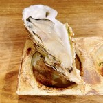 稲水器 あまてらす - 