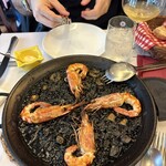 アロセリア ラ パンサ - 