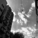 本格焼酎BARニチヨウビ - 