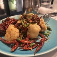 CINA New Modern Chinese - 