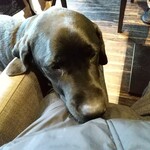 ワン ぽてぃと - 