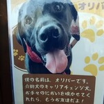 ワン ぽてぃと - 