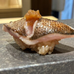 恵比寿 鮨 はつめ - 