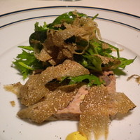 Terres de Truffes, Tokyo - パテドカンパーニュ