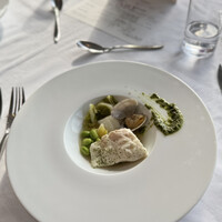 THE KOBECRUISE コンチェルト - 