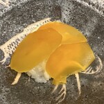 赤坂おぎ乃 - 煮えばな　からすみ　百合根　乗せ