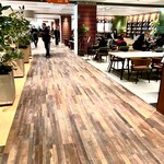 スターバックスコーヒー - 