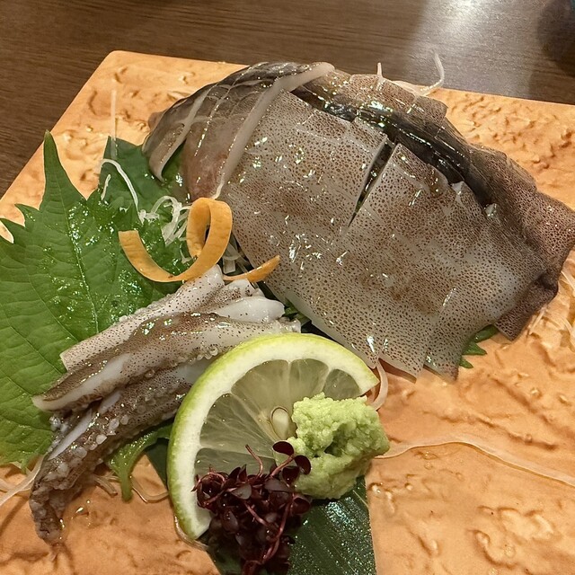 Nikomiyami Yoshi photo 3