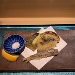 札幌 鮨 よこ田 - 