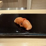 札幌 鮨 よこ田 - 