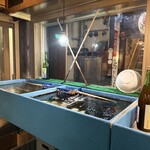 浜焼酒場 いちかわ - 