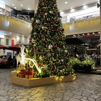 リュクス ダイニング ハプナ - 