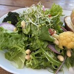 ブランチーズ ツジドウ - 