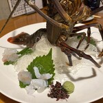 喜楽亭う～ちゃん - 