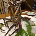 喜楽亭う～ちゃん - 