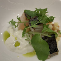 クイントカント - 