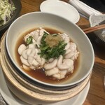 ハイコロトンボ - 
