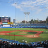 大黒家天麩羅 - 明治神宮野球大会で高校野球観戦。