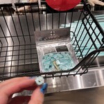 PAPA BUBBLE - 作りたてキャンディー