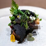 nôtori - 2025.11 芽吹き