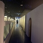 星空サンシャインTOKYO - 