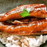 旬菜たまおき - 鰻丼