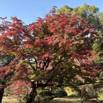 六義園 吹上茶屋 - 