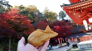 Taiyaki Tachibanaya - 紅葉の美しい季節に高幡不動尊でたい焼きです♪