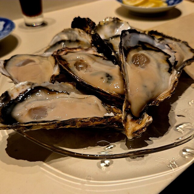 Yakigai to Osake Kai Kai Kai 〜 Gohiiki 〜 photo 2