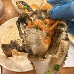 テ～ハンミング - 