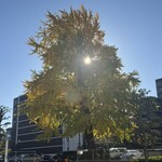 カフェ　ムジカ - 