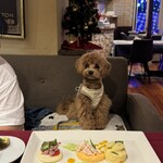 ル レーヴ ドゥ ティム - 