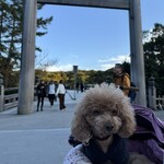 オリエンタルの青い月 - 内宮の鳥居前でのシェリ