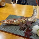 炉ノ鳥 - 【私のお勧め④】カマスの原始焼き