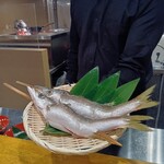 炉ノ鳥 - 【私のお勧め④】カマスの原始焼き