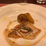 サバティーニ・ディ・フィレンツェ - 