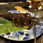 本店山科 - 伊勢海老