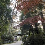 本間美術館　喫茶室 - 