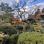 本間美術館　喫茶室 - 