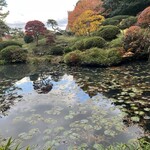 本間美術館　喫茶室 - 