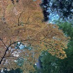 本間美術館　喫茶室 - 