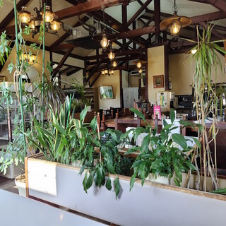 エーデルワイス_2