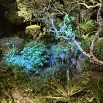 百年古家 大家 - 