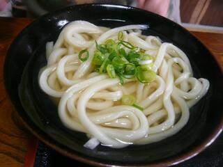 手打十段 うどんバカ一代 - 釜かけうどん