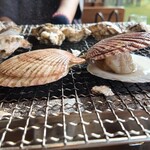 浜焼き白浜家 - 