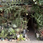 CLAMP COFFEE SARASA - 