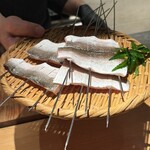 銀座 青天 - カマス